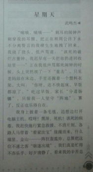 我的樂(lè )園是校園作文300字