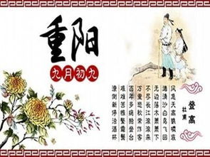 作文有趣校園節日活動(dòng)方案