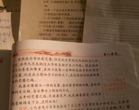 校園文藝節作文500