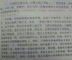 作文,對(duì)不起,校園