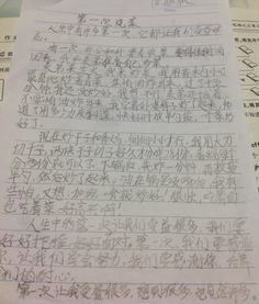校園樟樹作文450字