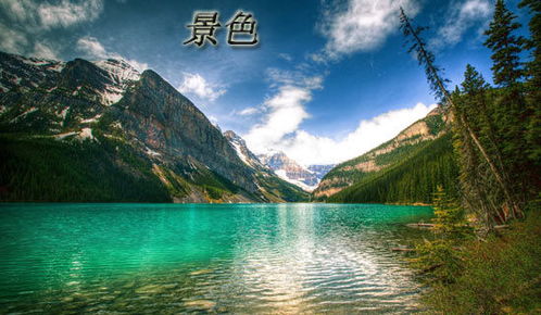 作文,描寫(xiě),景色,校園