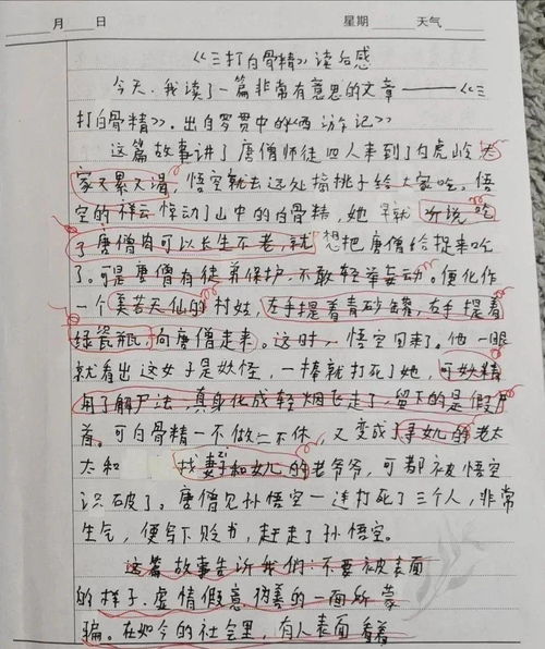 校園趣事作文樂(lè )樂(lè )課堂