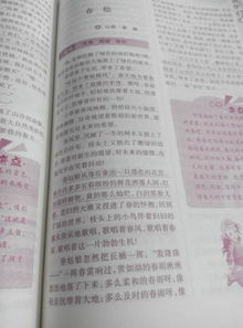 公園春夏秋冬寫景作文400字,春夏秋冬寫景作文300字,按春夏秋冬時(shí)間順序的寫景作文