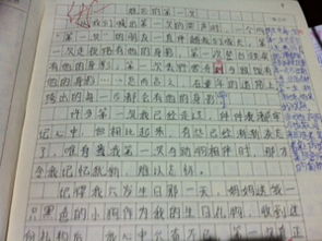 我愛(ài)校園季800字作文