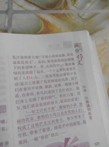 作文,春夏秋冬,寫一篇,美麗
