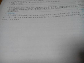 校園的樟樹作文300字四年級(jí),校園里的樟樹作文,校園的大樟樹作文400字春夏秋冬