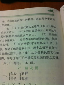我是,作文,主人,校園