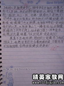 校園秋季運動會作文500字左右