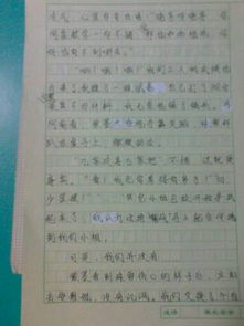 我與你相逢在校園敘事作文