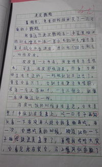作文,最喜歡,什么地方,校園