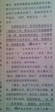 寫(xiě)少數民族的作文400字,我的少數民族朋友作文400字,少數民族的節日作文400字