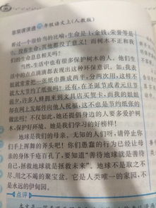 怎么寫(xiě)校園里的爆竹花作文
