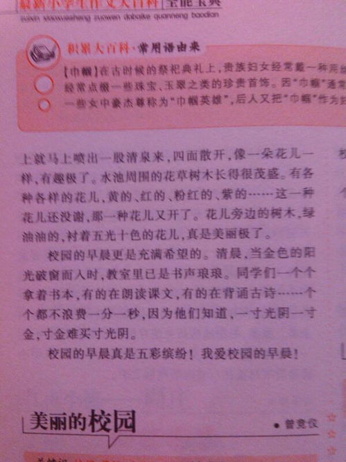 我們校園為一篇作500字作文