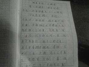 作文,水資源,調(diào)查報告,校園