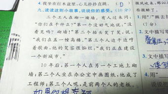 我們的校園作文404字