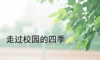 我的校園四季作文用什么名字