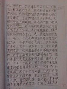 作文,征文,環(huán)保,小學