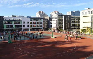 實(shí)驗小學(xué)校園一角作文怎么寫(xiě),濱海縣實(shí)驗小學(xué)作文校園一角,實(shí)驗小學(xué)作文校園一角500字