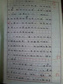 我的高中校園作文800字