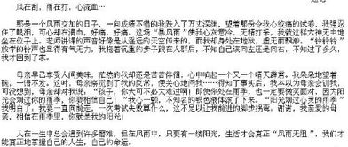 陽(yáng)光校園作文題目怎么寫(xiě)
