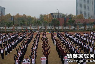 多彩的校園作文運動會