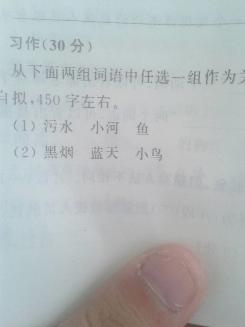 關(guān)于校園環(huán)境描寫(xiě)的作文500