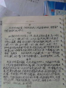 作文,一處,景物,校園