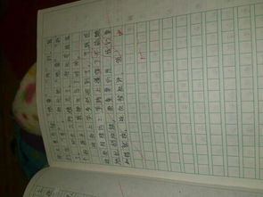 作文校園里開(kāi)心的事400字