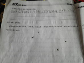 作文,校園