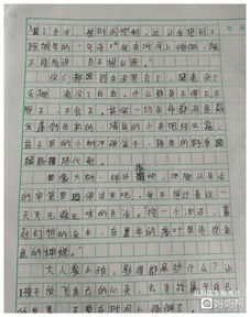 學(xué)生在校園里的感受作文600字