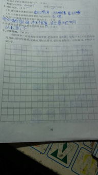 描寫(xiě)校園四季的景色四級作文謝謝