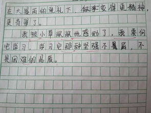 作文開(kāi)頭結尾神仙句子寫(xiě)校園