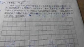 春游建議作文四級校園