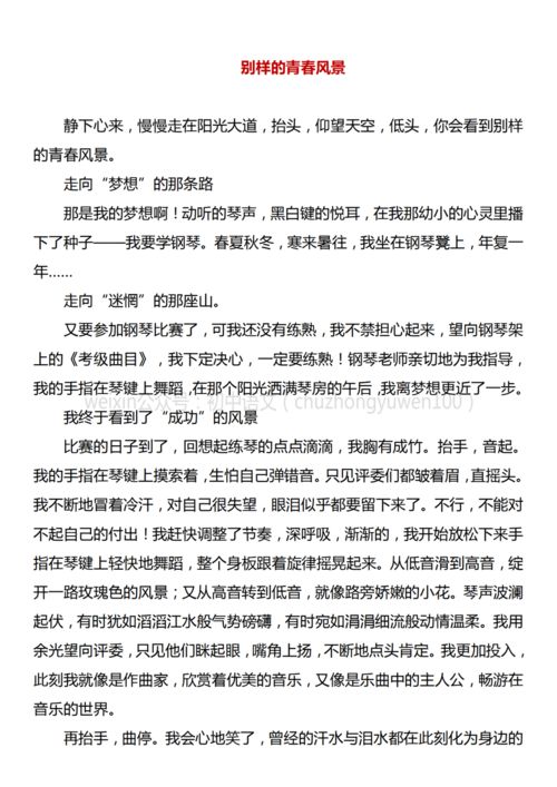 關(guān)于青春校園的滿(mǎn)分作文