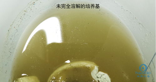 培養基滅菌要注意事項
