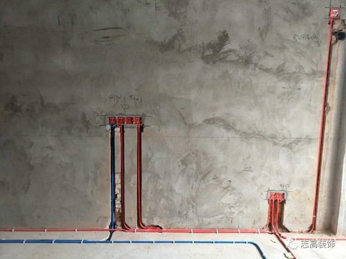 骨折拆夾板后注意事項(xiàng),小夾板固定后的注意事項(xiàng)有哪些,夾板固定的步驟及注意事項(xiàng)