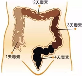 細胞矯正期間注意事項