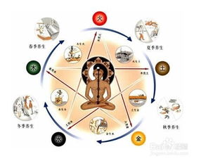 情報,編寫(xiě),注意事項