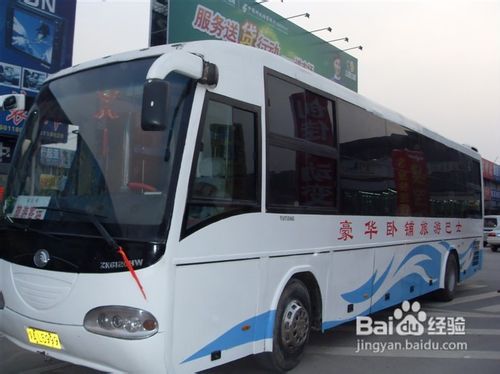 大巴,注意事項,跟團,旅游