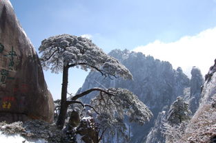 去黃山旅游的注意事項,福州去黃山旅游注意事項,11月份去黃山旅游注意事項