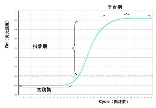 實(shí)時(shí)熒光PCR結果分析,實(shí)時(shí)熒光定量pcr結果分析,乙肝實(shí)時(shí)熒光定量pcr結果分析