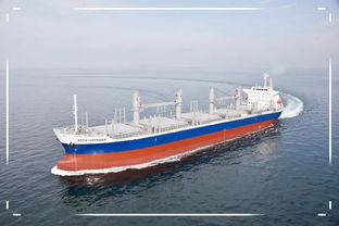 船廠接新船注意事項,三副接新船注意事項,接新船時船長注意事項