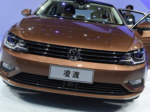 凌渡dsg停車注意事項(xiàng)