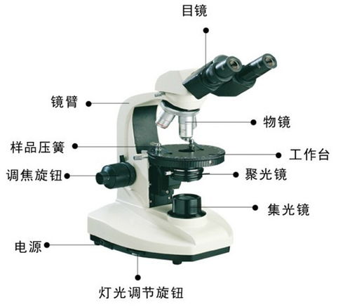 購買(mǎi)顯微鏡注意事項