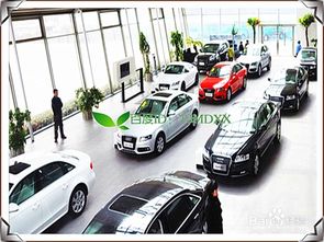 注意事項,汽車(chē),買(mǎi)美規版