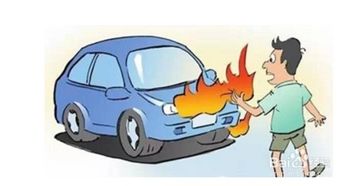 夏季,停車(chē),注意事項(xiàng)