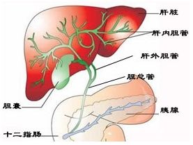 陰囊結(jié)石飲食注意事項(xiàng)
