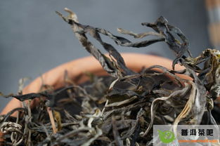 儲存茶葉要注意事項