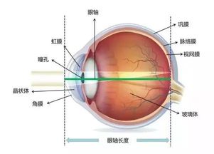 a超測眼軸注意事項